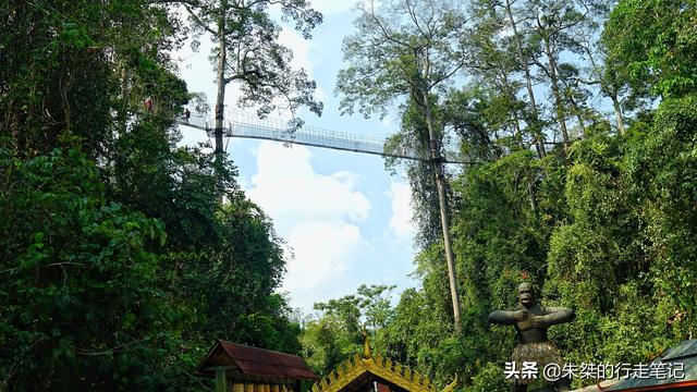 中国唯一被世界公认的热带雨林，为何是游客抬头看风景最多的地方