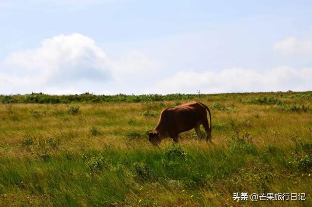 贵州有个县,距离贵阳150公里,名气不大却拥有两处世界之最景点