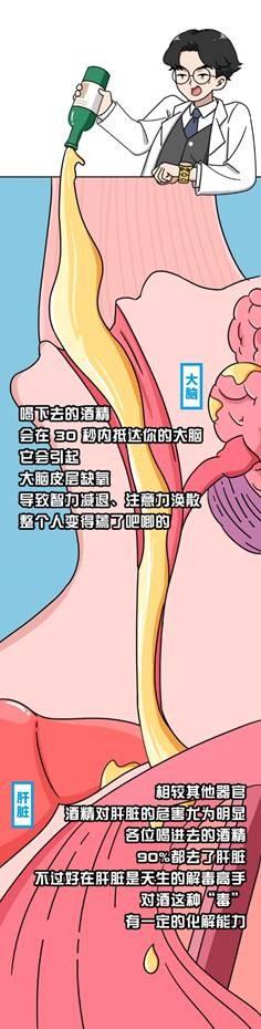 小酌怡情，有益健康？世界顶级期刊：每一滴酒，都在损害你的身体