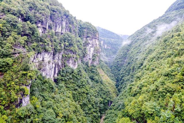湖北恩施绝佳的避暑胜地,夏季平均气温仅20度,被称为最美峡谷