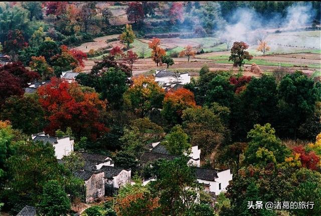 金秋旅行你准备去哪里？这6大绝美秋日风情，惊艳你的视觉