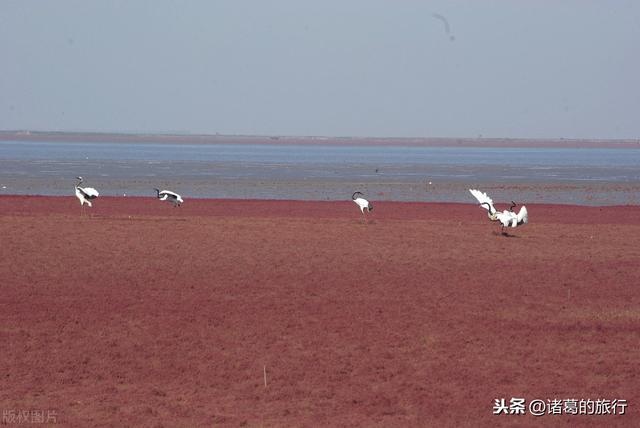 金秋旅行你准备去哪里？这6大绝美秋日风情，惊艳你的视觉