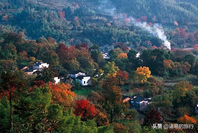 金秋旅行你准备去哪里？这6大绝美秋日风情，惊艳你的视觉