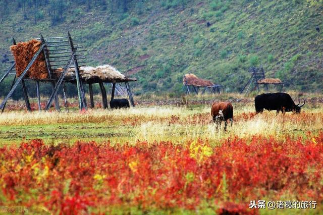 金秋旅行你准备去哪里？这6大绝美秋日风情，惊艳你的视觉