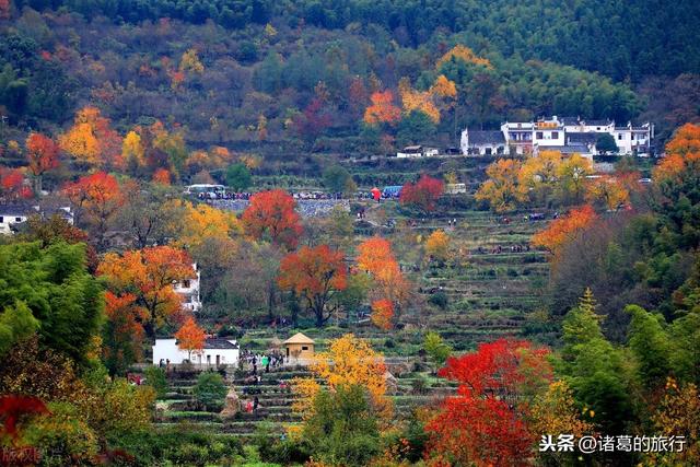 金秋旅行你准备去哪里？这6大绝美秋日风情，惊艳你的视觉