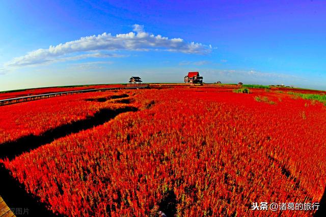 金秋旅行你准备去哪里？这6大绝美秋日风情，惊艳你的视觉