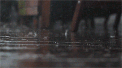 第一轮降雨已于昨日拉开