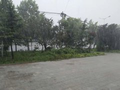 一阵雨一阵晴，路上“小