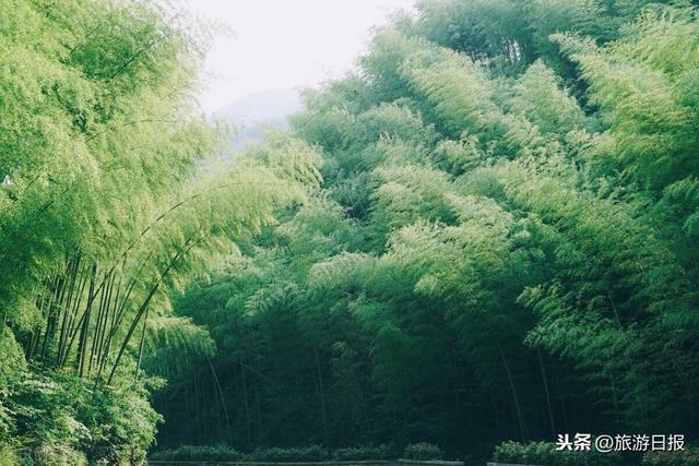 安徽不得不去的7个景点,你去过几个?(一)