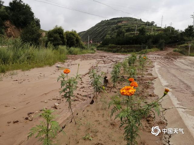 甘肃庆阳遭遇强降雨 道路塌陷围墙倒塌