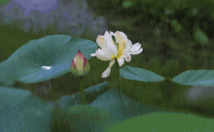 过程降水量25～50毫米，局