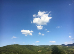 8月10日上海市发布暴雨蓝