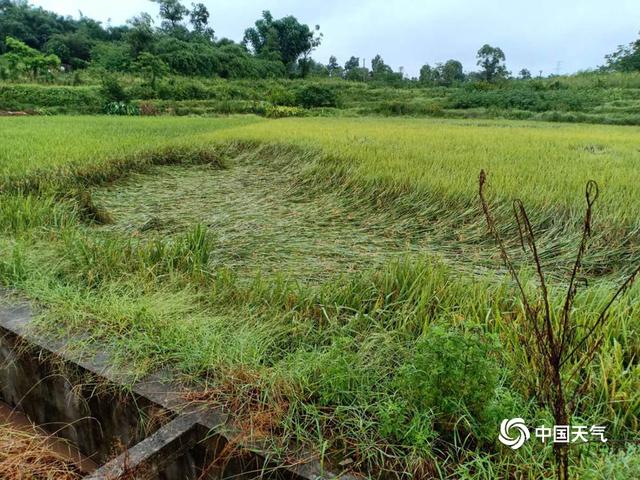 四川内江遭遇区域性大暴雨 多地受灾