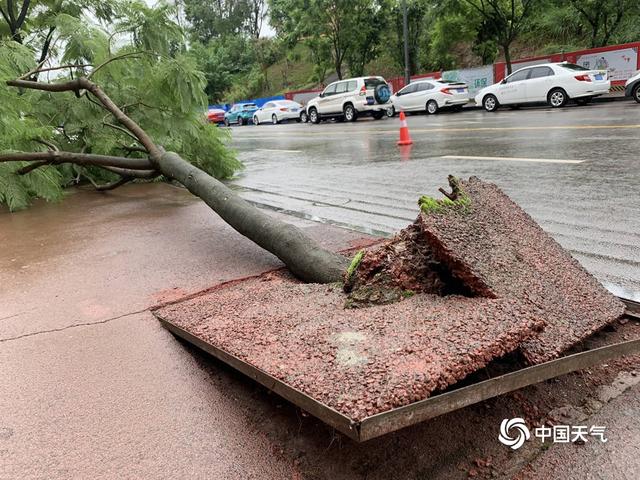 四川内江遭遇区域性大暴雨 多地受灾