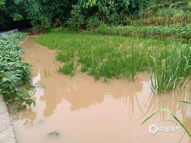 四川内江遭遇区域性大暴雨 多地受灾