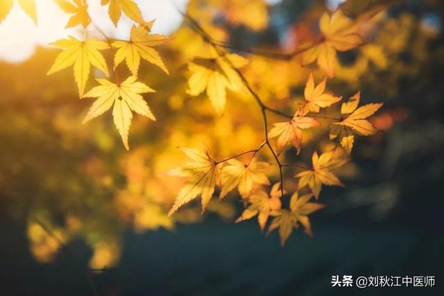 立秋后,易被这4种疾病"缠身"早期预防是关键