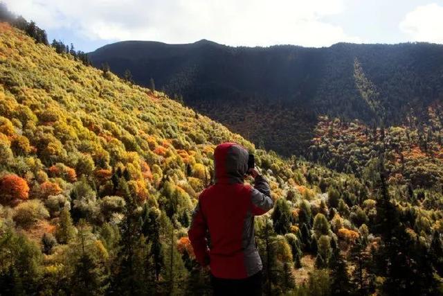 云游旅游西藏旅行攻略拉萨林芝山南日喀则珠峰