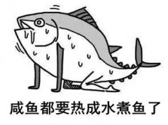 最后还要附送台风“彩蛋