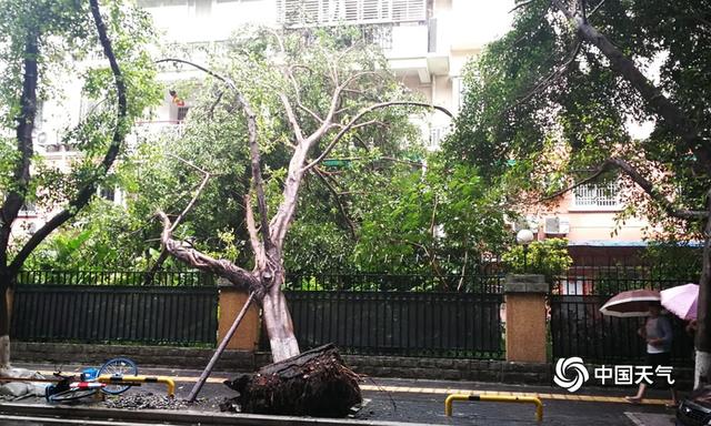 四川绵阳城区遭遇今年来最强降雨 内涝严重