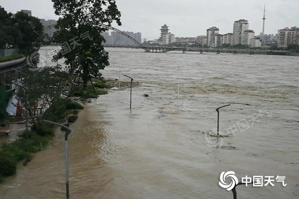 四川现罕见特大暴雨局地单日雨量破纪录 明天起降雨减弱