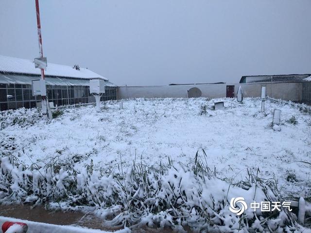 甘肃碌曲八月飞雪 尕海湖畔白雪皑皑
