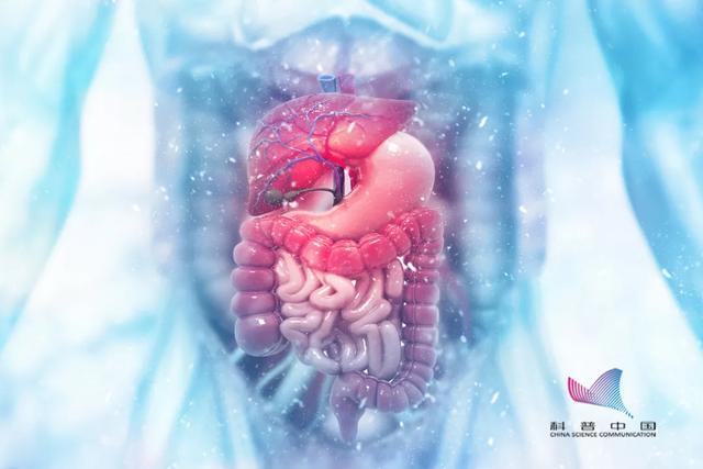 空腹到底是有多"空"?牛奶、香蕉不能空腹吃?看完一目了然