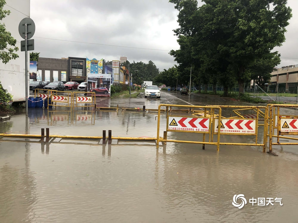 台风“海高斯”携风雨影响广东 大树倒伏砸中汽车