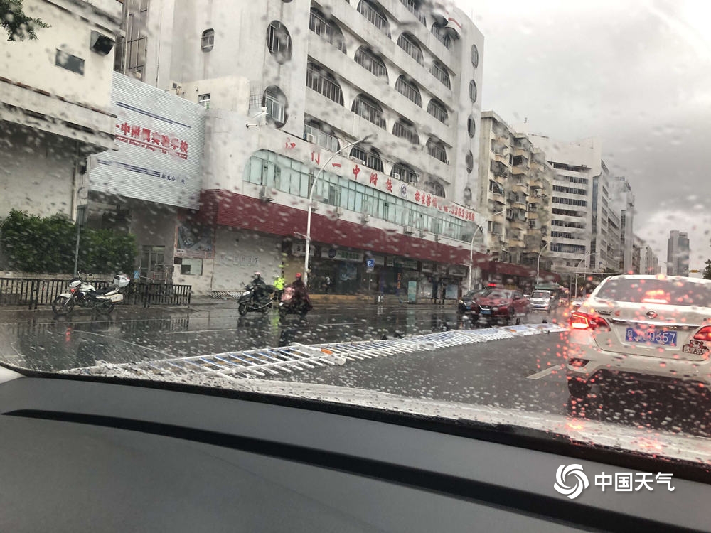 台风“海高斯”携风雨影响广东 大树倒伏砸中汽车