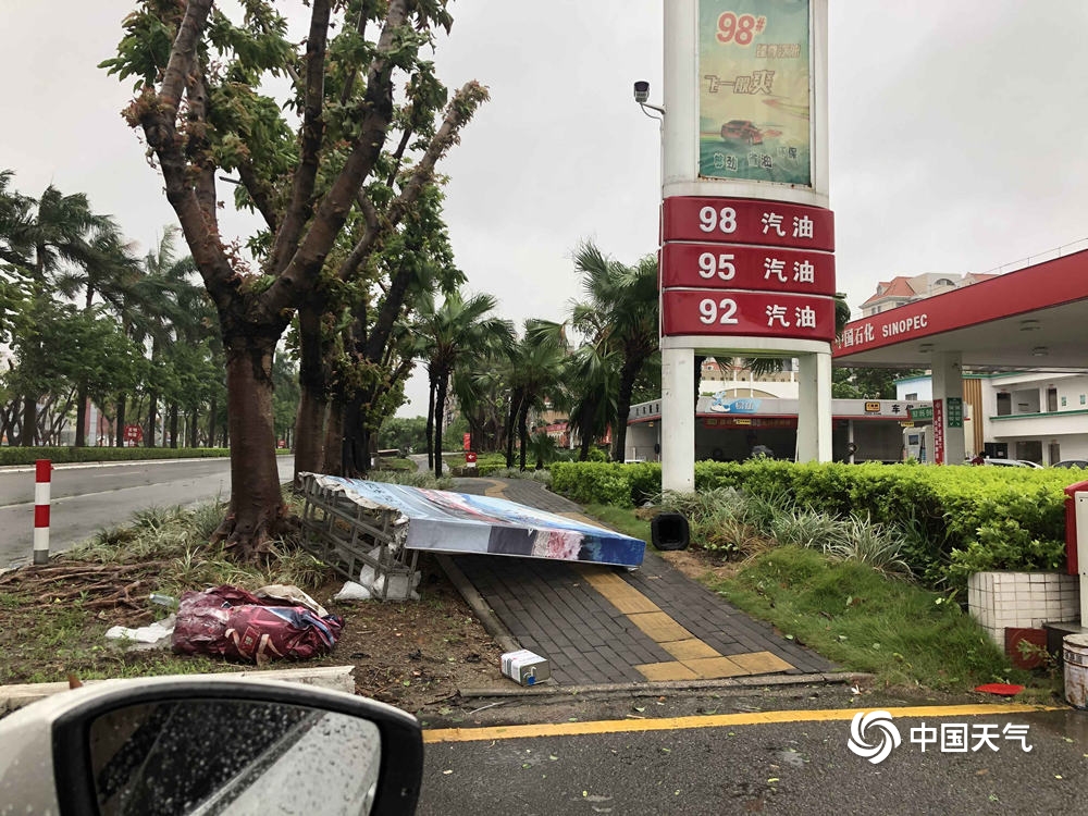 台风“海高斯”携风雨影响广东 大树倒伏砸中汽车