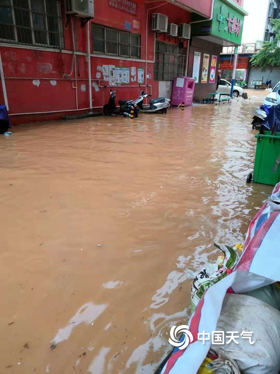 台风过后 广东湛江部分乡镇农田受浸道路通行受阻
