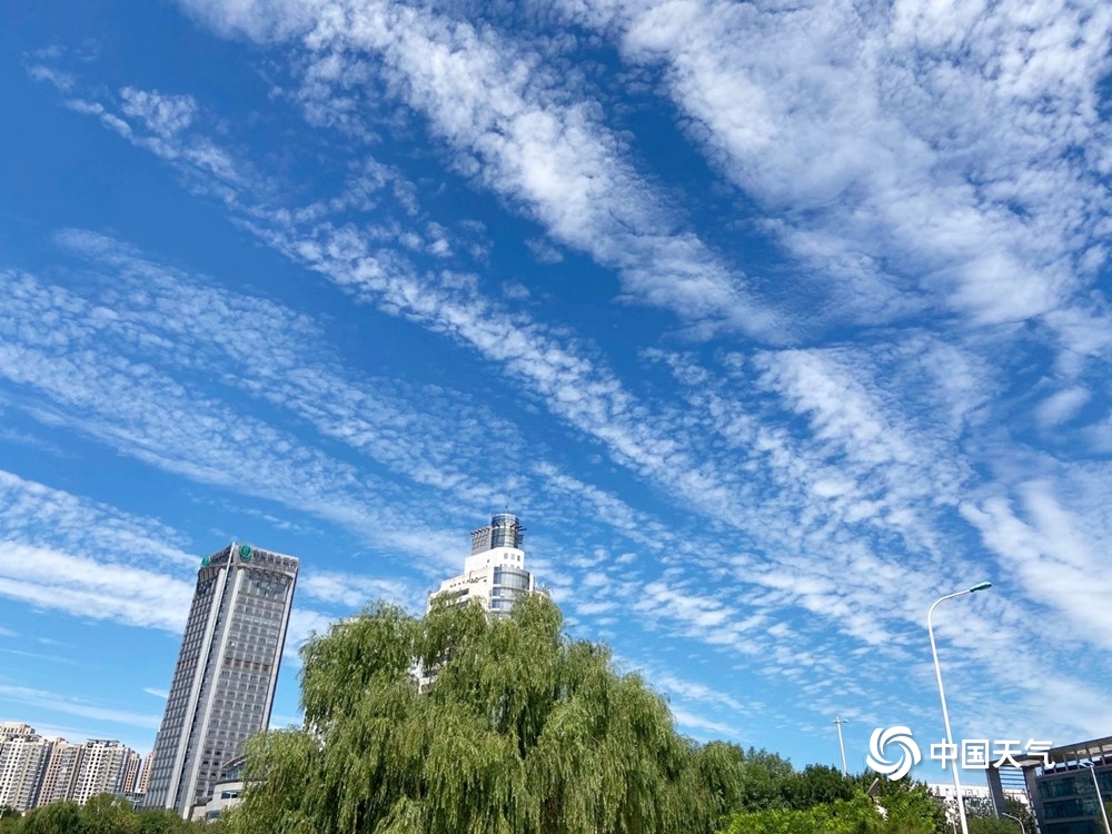 雨后天津碧空如洗 白云如絮缀满天