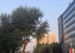 午后气温蹿升至30℃以上，
