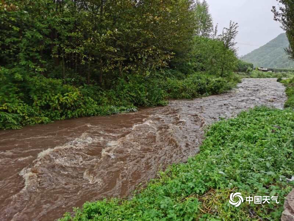 “巴威”来袭！吉林部分地区河流涨水 树木被强风折断