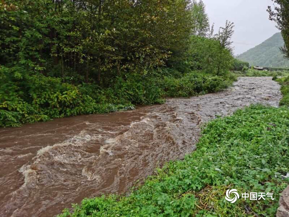 “巴威”来袭!吉林部分地区河流涨水 树木被强风折断