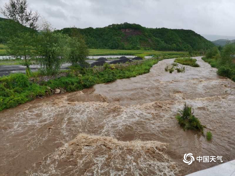 “巴威”来袭！吉林部分地区河流涨水 树木被强风折断