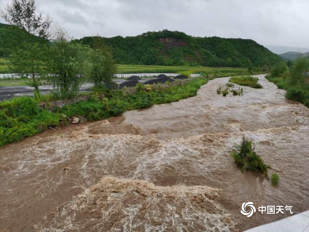 “巴威”来袭!吉林部分地区河流涨水 树木被强风折断