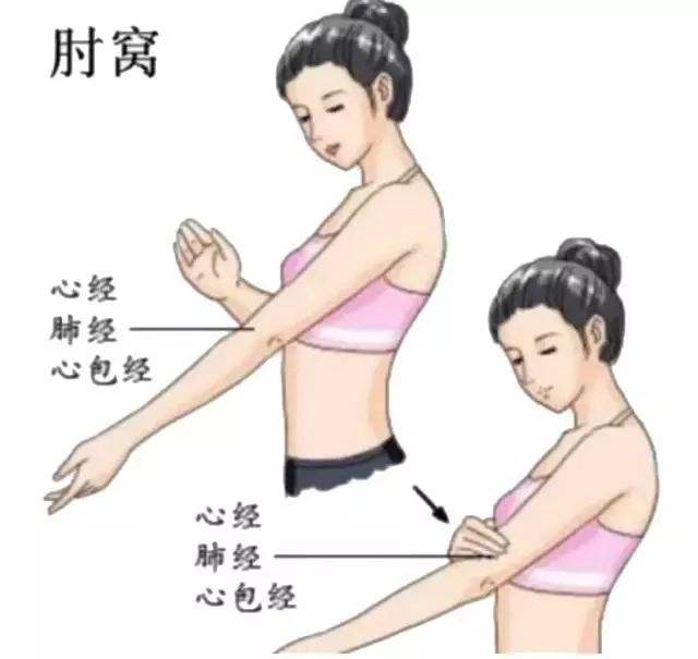 感觉身体总“提不上劲”？很有可能这七个排污口都在“闹罢工”