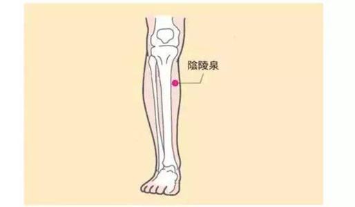 感觉身体总“提不上劲”？很有可能这七个排污口都在“闹罢工”
