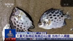 粤桂海滩为何总是天降“