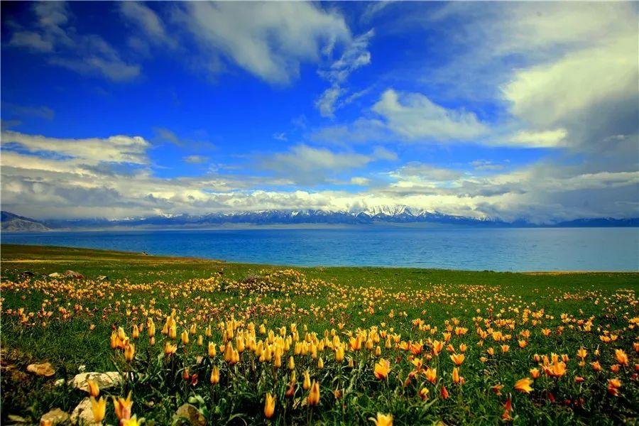 跨省游恢复！美成仙境的新疆终于回来了，喀纳斯、五彩滩、赛里木
