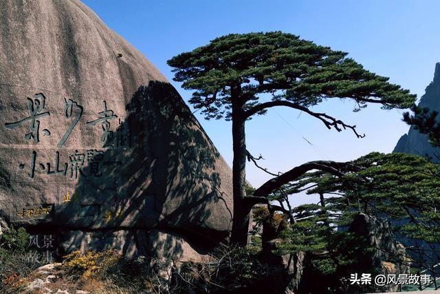 焦作知名景点看不到?多走两步就好了,再过一个月更漂亮