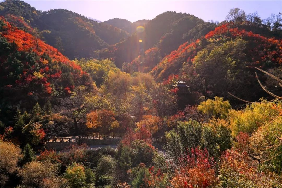 山东斥资3亿景区,汇集“山瀑栈溪泉”北方罕见,距济南58公里
