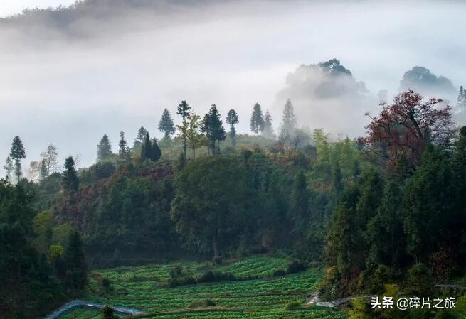 十一长假马上来临,这些地方一定不能错过,可以感受到美丽的秋色