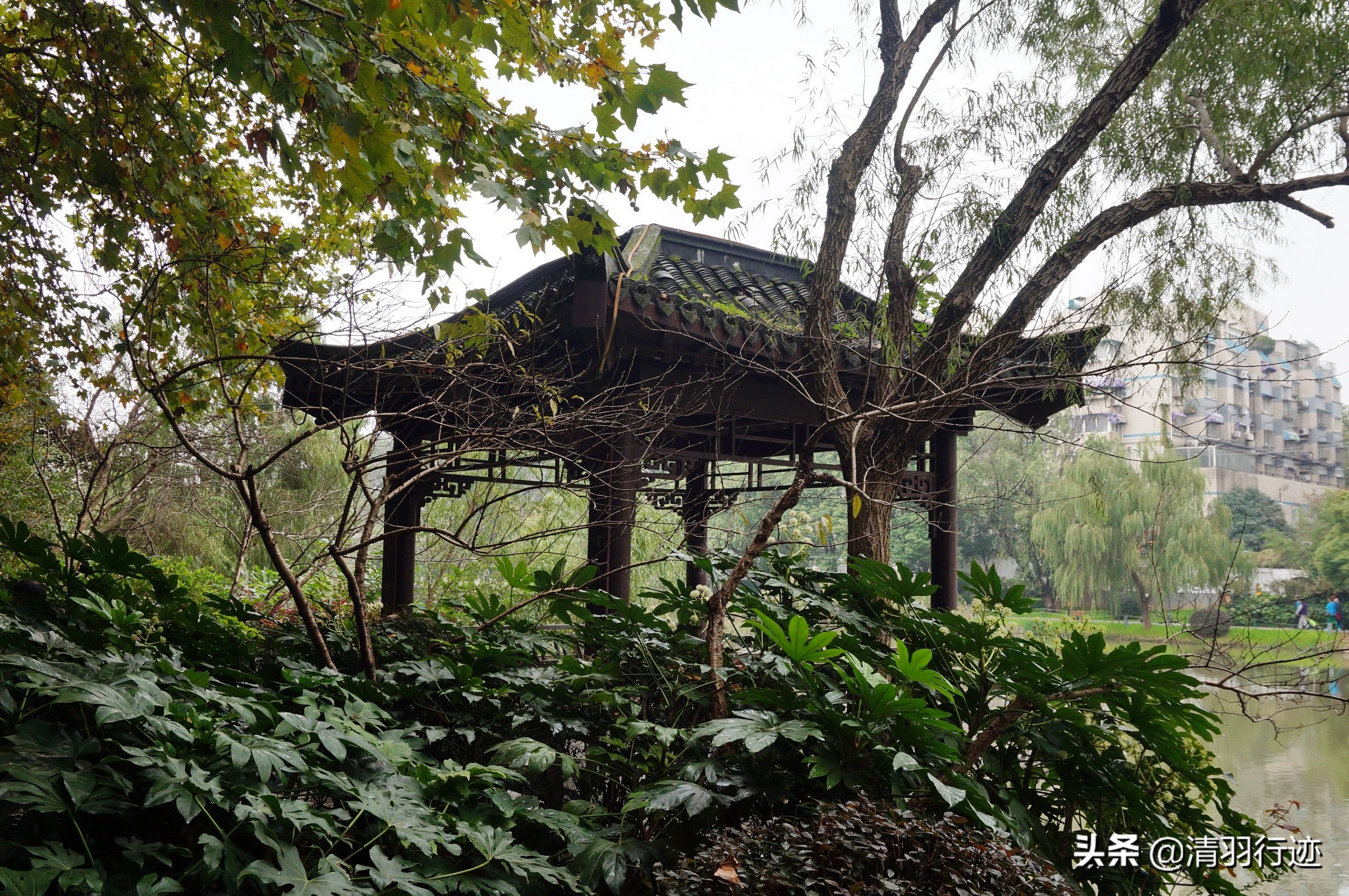 南京一个免费开放的公园，面积5公顷，环境清幽，游客少有人来
