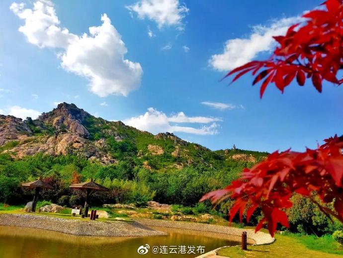 有点美！连云港桃花涧邀您共赏夏日清凉