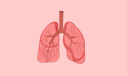 肺部也需保健，盘点多种预防方法