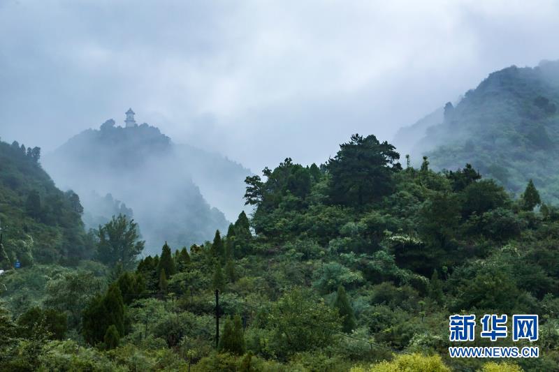 烟雨迷蒙玄中寺