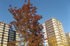 9月21日北京天气：周一多