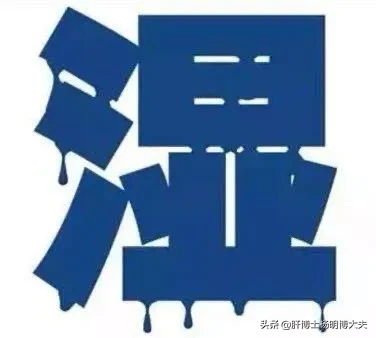 湿气,从哪里来,有何特征?