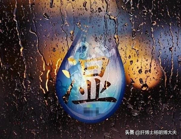 湿气,从哪里来,有何特征?
